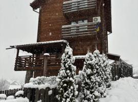 Eco House, vacation home in Bukovel