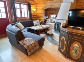 Skibyen Jons Hytte, hotel in Skoro