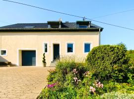 Beautiful Home In Nimsreuland With Wifi, pet-friendly hotel in Nimsreuland