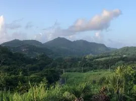 Passion Du Paradis972