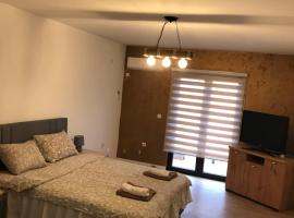 Apartman sa bracnim krevetom, apartment in Kraljevo