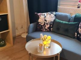 Studio KAAN avec terrasse 5mn Basel Airport – hotel przyjazny zwierzętom w mieście Blotzheim