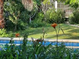 Casa Sustentable Mint Fields