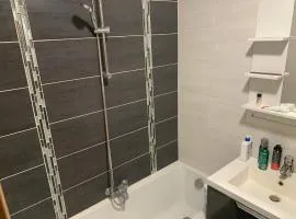 Chambre dans appartement