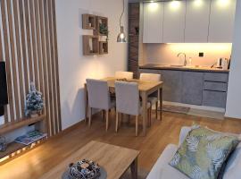 Apartman K&N - Jahorinska Vila, hotel dicht bij: Ogorjelica 2, Jahorina