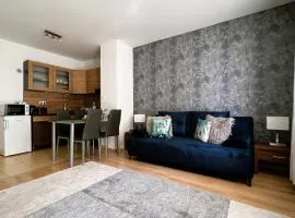 Cosy Living Apartment w Balcony