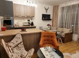 BH and Semiramida Ski Apartment