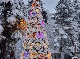 Borjomi Home, cheap hotel in Borjomi