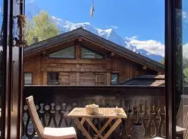 Appartement ensoleillé aux Tines, vue Massif