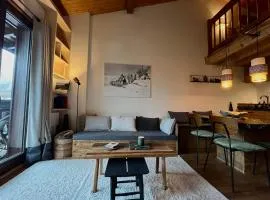 Appartement ensoleillé aux Tines, vue Massif