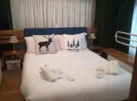 Casa Shabby - Comfortable family apartment near the slopes - Confortevole appartamento per famiglie vicino alle piste