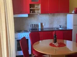 Apartman RED u Vrnjačkoj Banji