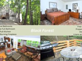 Black Forest - 5 Bedroom Escape, hotel in Berkeley Springs