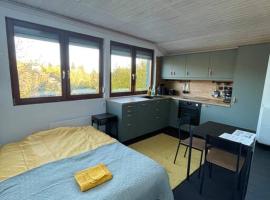 Stúdió Nagymaros, apartman Nagymaroson