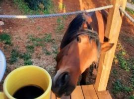 Tiny House Loul Algarve no1, хотел в Лоуле