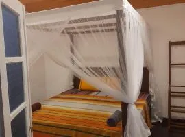 Shoba Traveller's Tree Homes stay