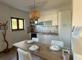 Studio Apartman Nika