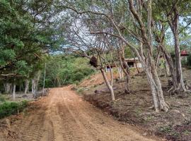 Papaturro House, hotel in La Cruz