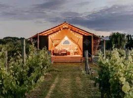 Villas & Vines Glamping