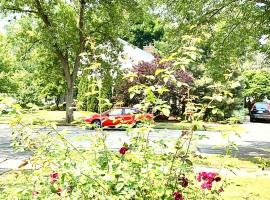 B4 A private room in Naperville downtown with desk and Wi-Fi near everything, hotel a Naperville