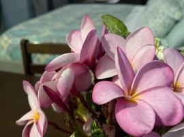 Sale&rsquo;aula Lava Studio Apartment, hotel sa parkingom u gradu Saleaula