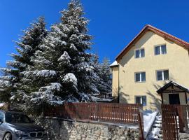 Cabana Alina, khách sạn ở Păltiniş