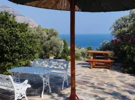 ZACHAROULA ROOMS 2