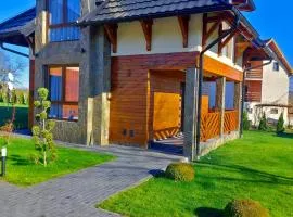 Evergreens houses Zlatibor