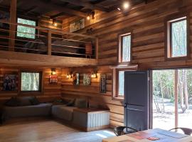 Loft Vintage Bosques del Sur Puerto Varas, căn hộ ở Puerto Varas