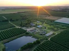 Lowergroen Guest Farm, Working Farm