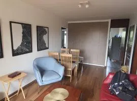 En el mejor barrio de Reñaca