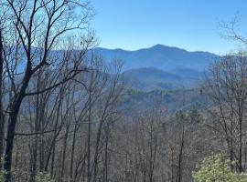 Stunning Views, Superb Atmosphere, Modern Amenities, In the Middle of Nature, holiday home in Bryson City