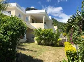 Black River Villa Turquoise 3bdr, sea view