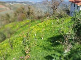 Finca pajaritos: Las Palmas de Gran Canaria şehrinde bir orman evi