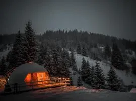 Cucu Zen Dome Cabana Cazare Bucovina