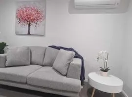 Lovely Central City Apartment St Asaph Street 103