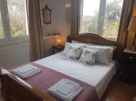 Olga's Cozy Nest , apartment in Ano Korakiana.