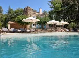 Le Petit Eden Provençal - Charming stone house with large pool Luberon