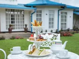 Aaradhya Nuwara Eliya