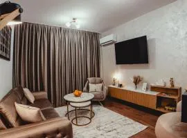 Elegant Living Apartment 2