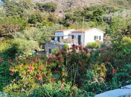 Villetta Sant'Andrea - Goelba, casa vacanze a SantʼAndrea