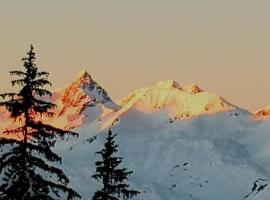 Bourg Saint Maurice Les Arcs - maisonnette grand confort dans charmant village de montagne !，布聖莫里斯拓莫雷特（Tommelet）附近的飯店