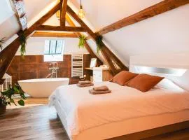 Le Laurencin Sens - Le Duplex - Cœur de ville