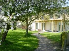 Süderhever