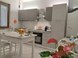 a CASA IDA