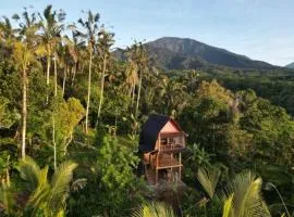 Bali jungle cabin
