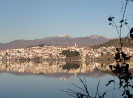 Daphne Luxury Apartment, Ferienwohnung in Kastoria