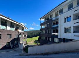 Apartman Triangel 1-04, ski resort in Donovaly