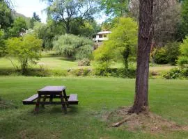 Tree View Cottage