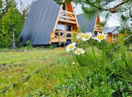 Cabañas Entre Cumbres, feriehus i Moquehue